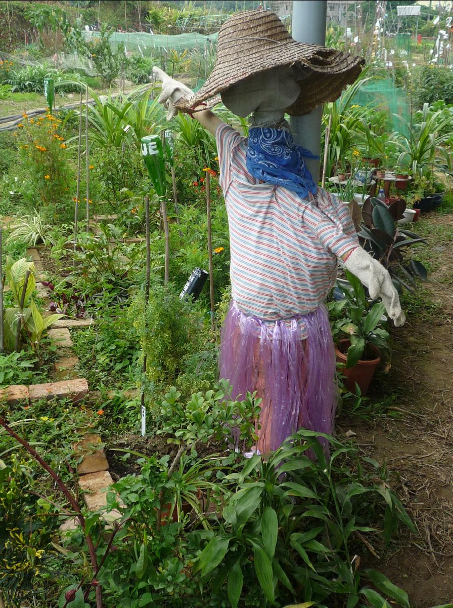 20101127 THE Organic Farm52